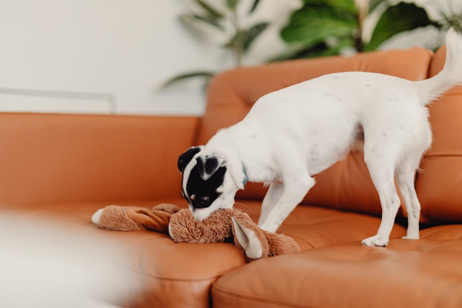 https://nimblewags.com/wp-content/uploads/2023/10/benefits-of-dog-bath-brush.jpg