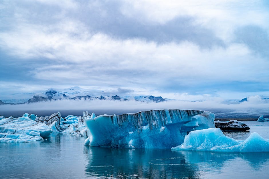 https://example.com/what-to-expect-on-an-arctic-cruise.jpg