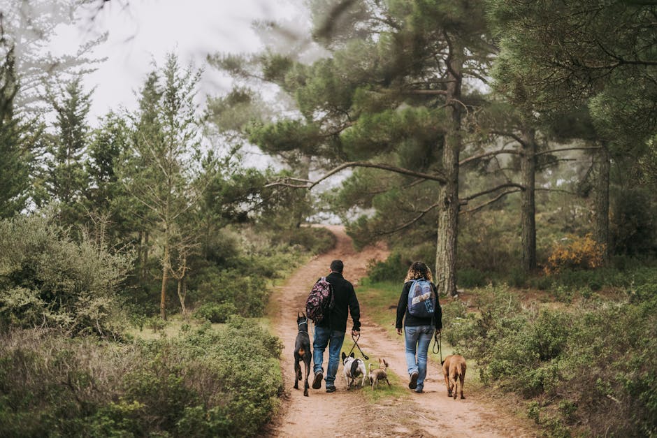 https://example.com/image-of-dog-lovers-meeting.jpg