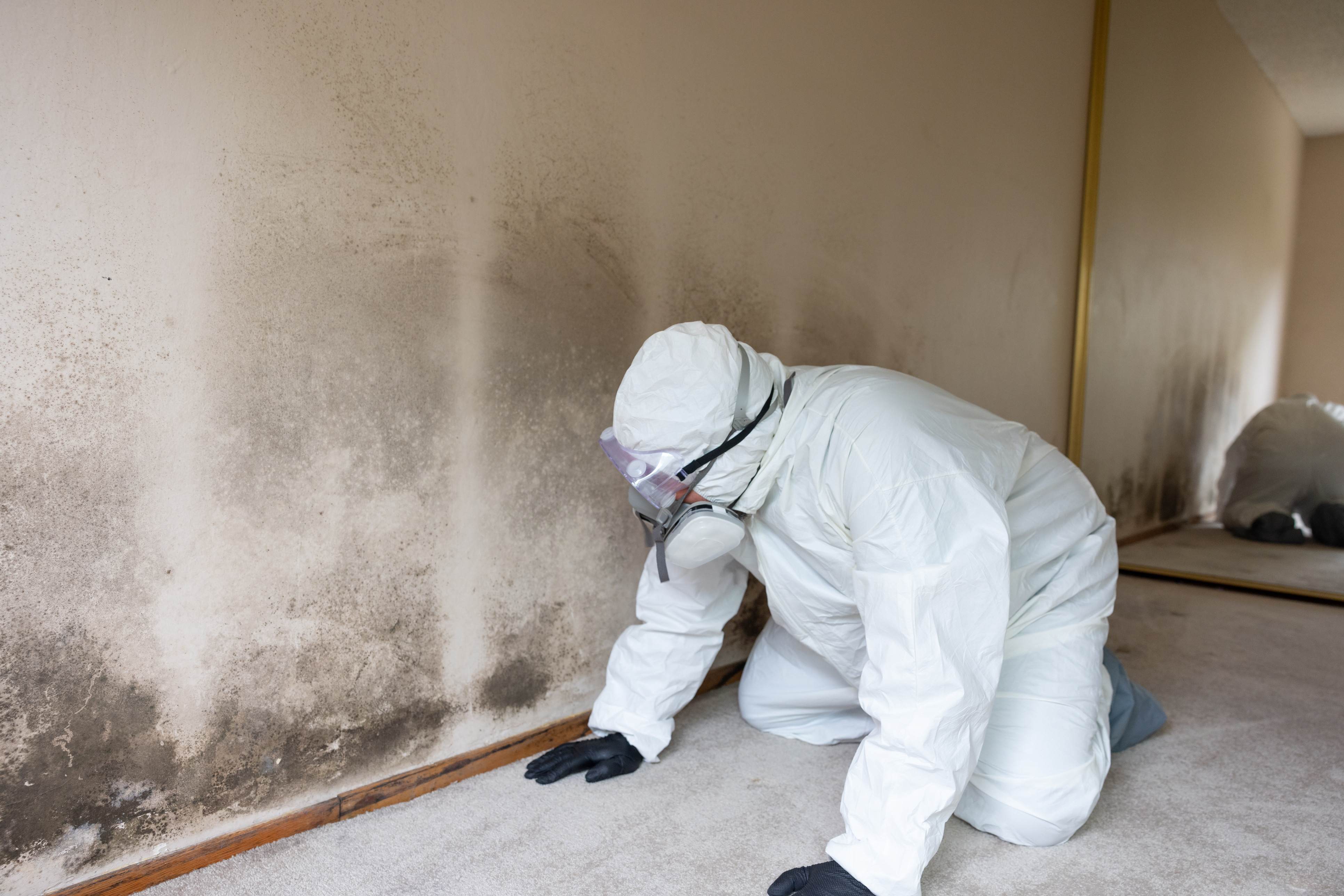 https://example.com/asbestos-abatement-steps.jpg