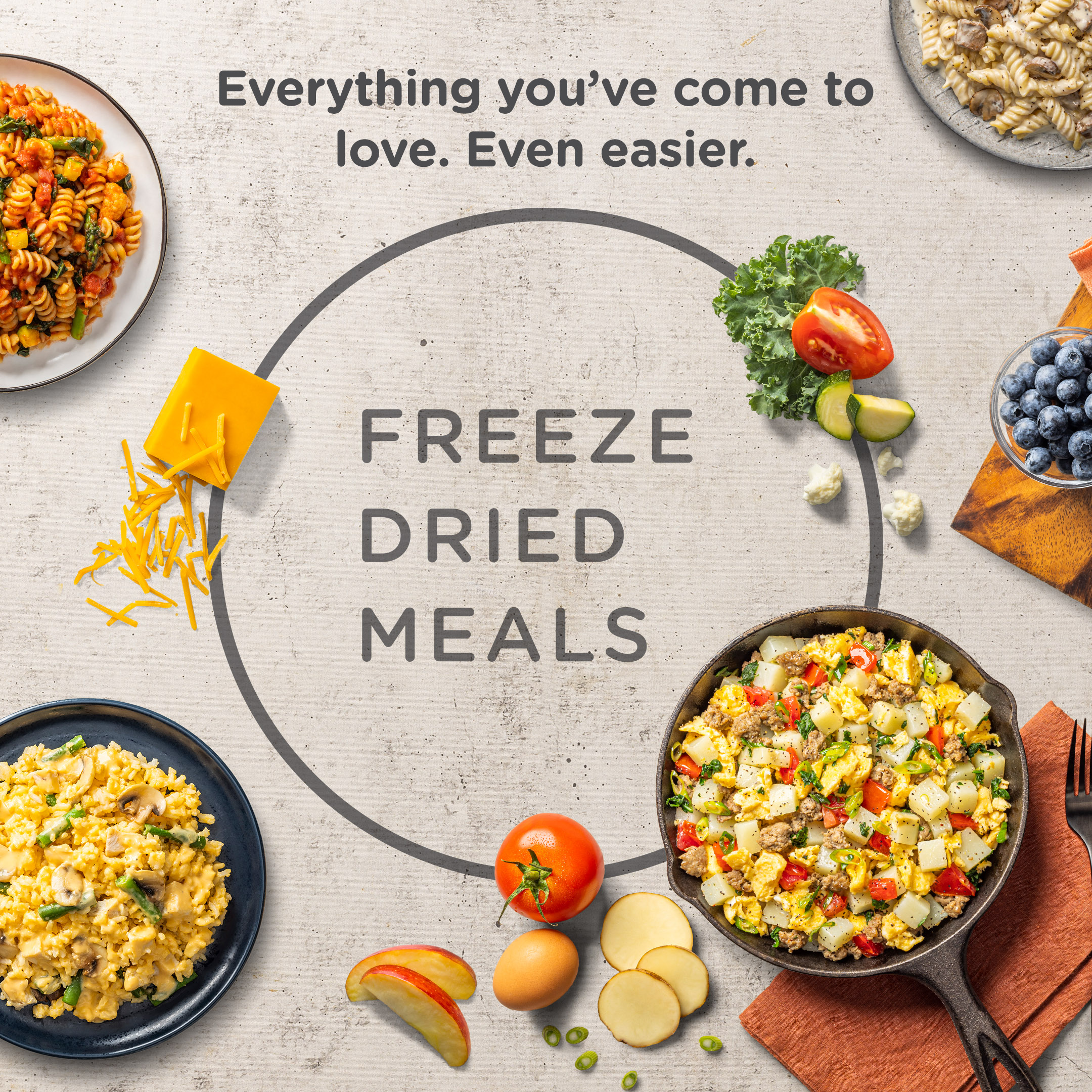 https://example.com/top-online-retailers-emergency-food-kits.jpg